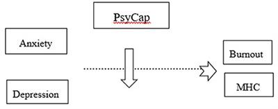 The Moderating Role of Personal Resources Between Demands and Ill-Being of Romanian Healthcare Professionals in the COVID-19 Pandemic